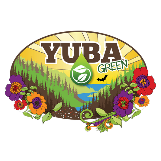 Four Seasons Yuba Green Bulk - 1 YD LOOSE